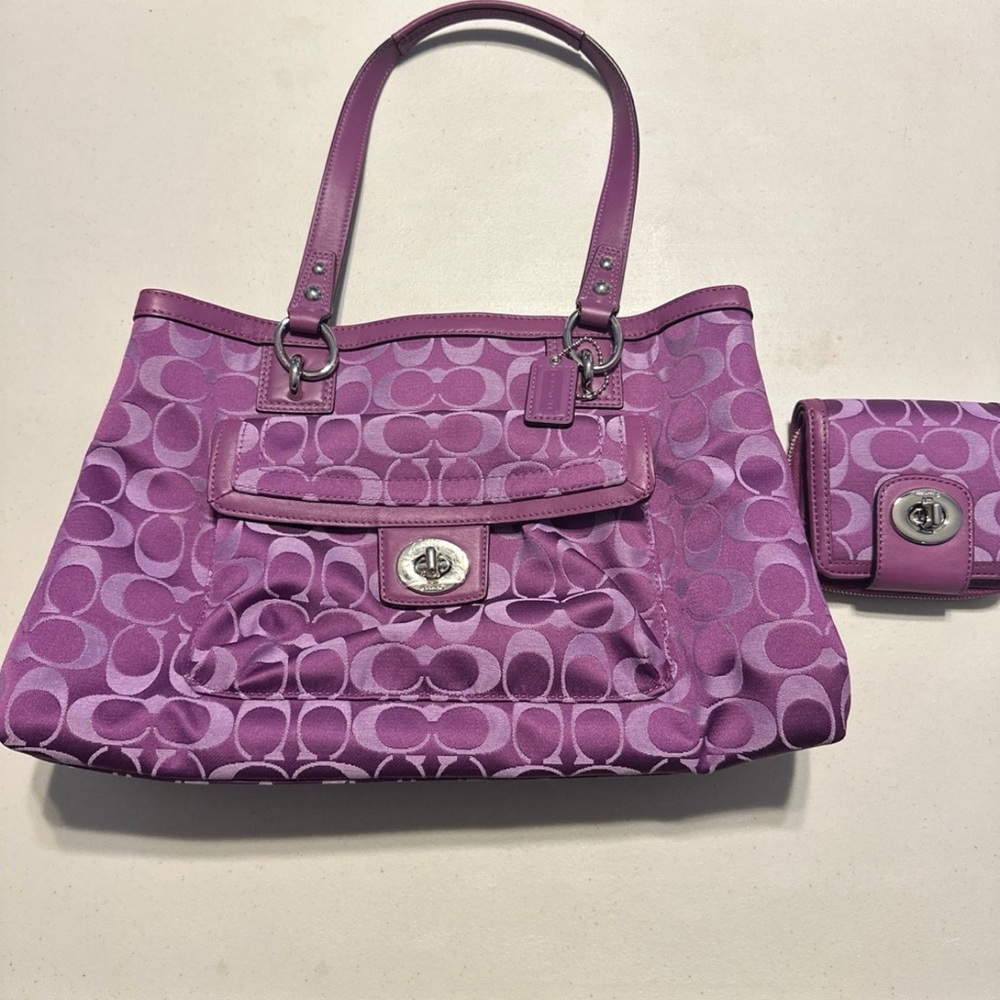 Coach bag and wallet